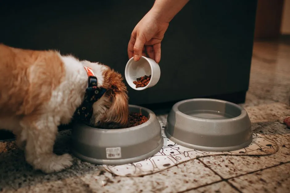 Why Your Dog Destroys Every Toy — and What Actually Helps